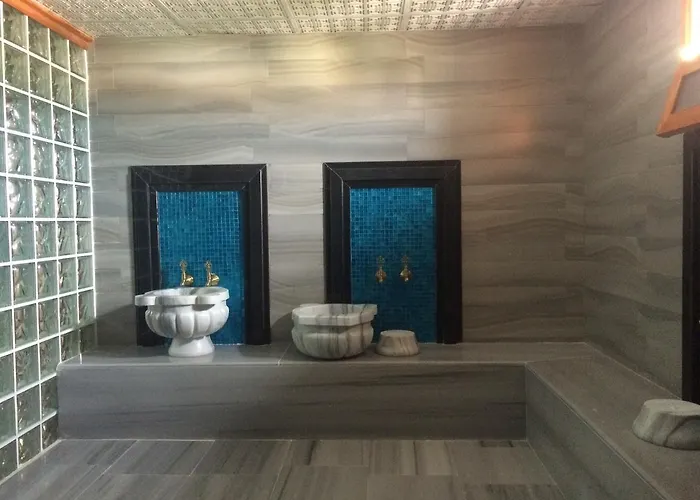 Rakasta Boutique & Convention Center Otel Dikili